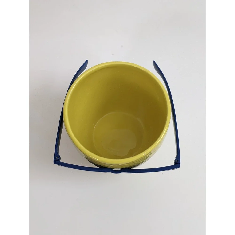 Trader Joes Cool Fruit Ceramic Novelty Planter Lime Sunglasses PLANT NOT INCLUD